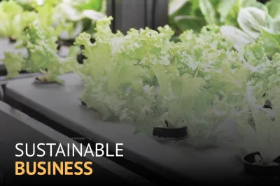 Sustainable business