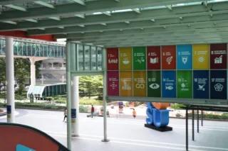 SDGs on campus