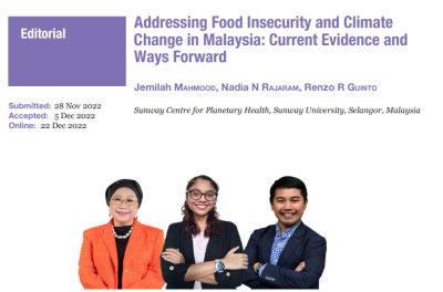 Invited Perspective: Uncovering the Hidden Burden of Tropical Cyclones on Public Health Locally and Worldwide