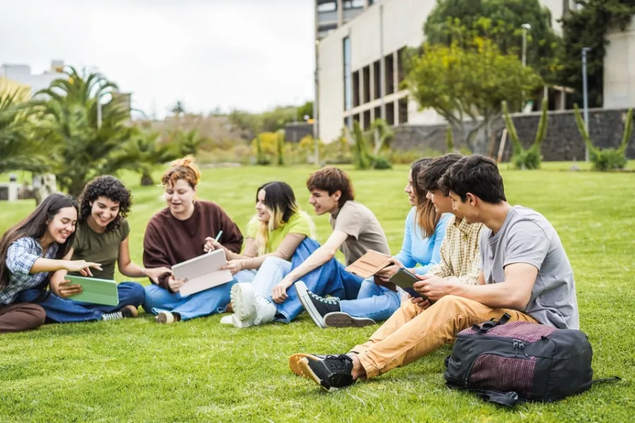 Students studying outside
