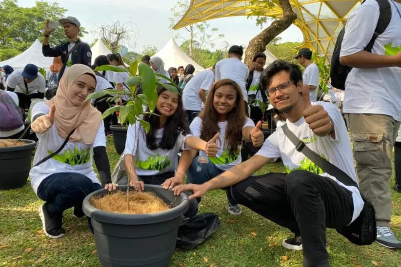 SES activities