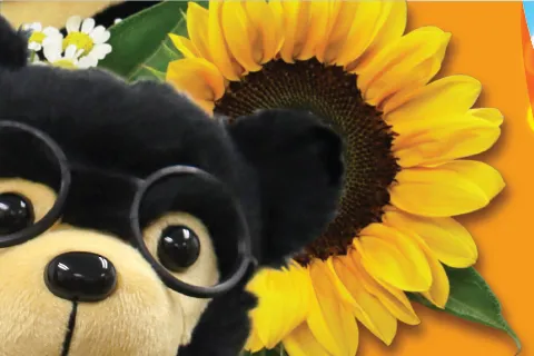 Sunway Graduation Bear