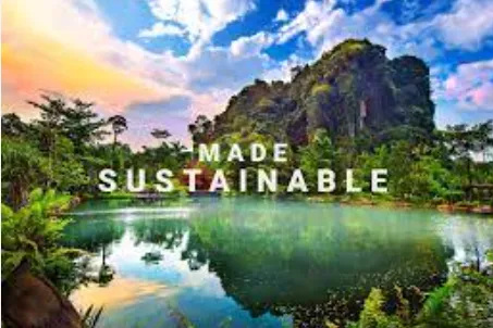 sdg 12