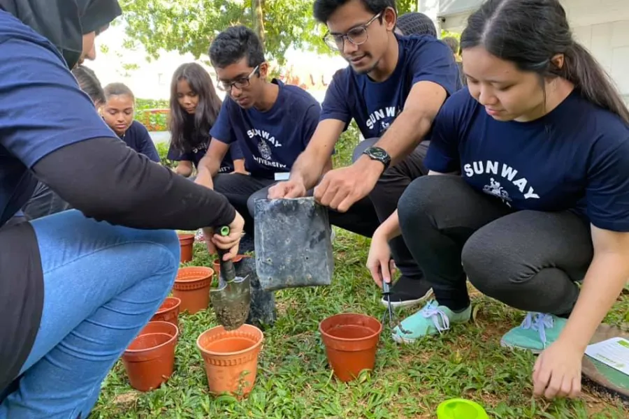 Future-Proofing through Sustainability and Innovation