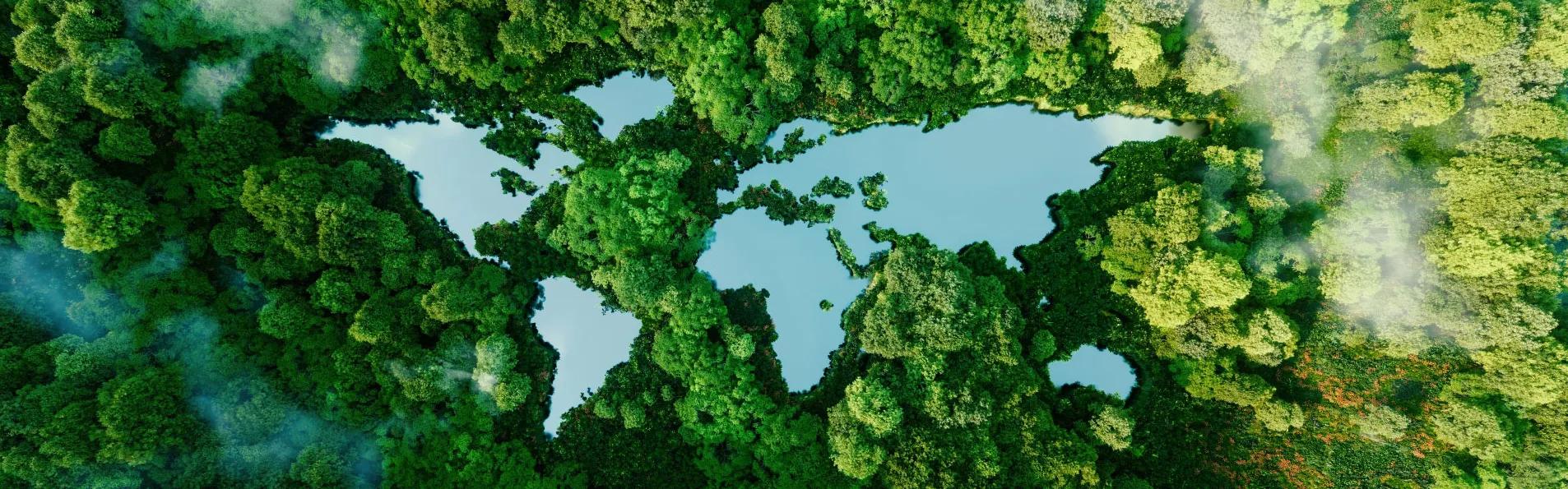 The world shaped into a forest