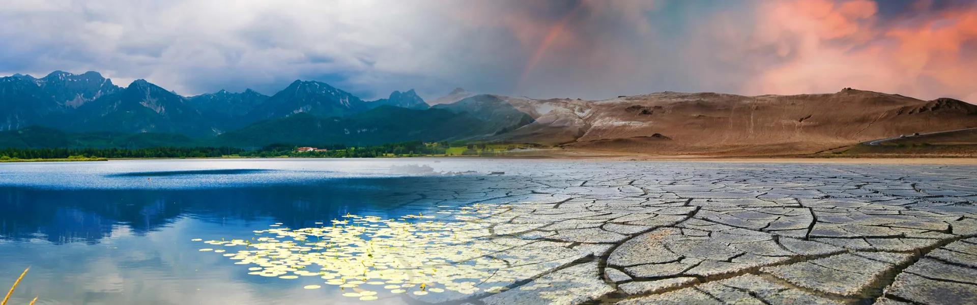 Climate change banner