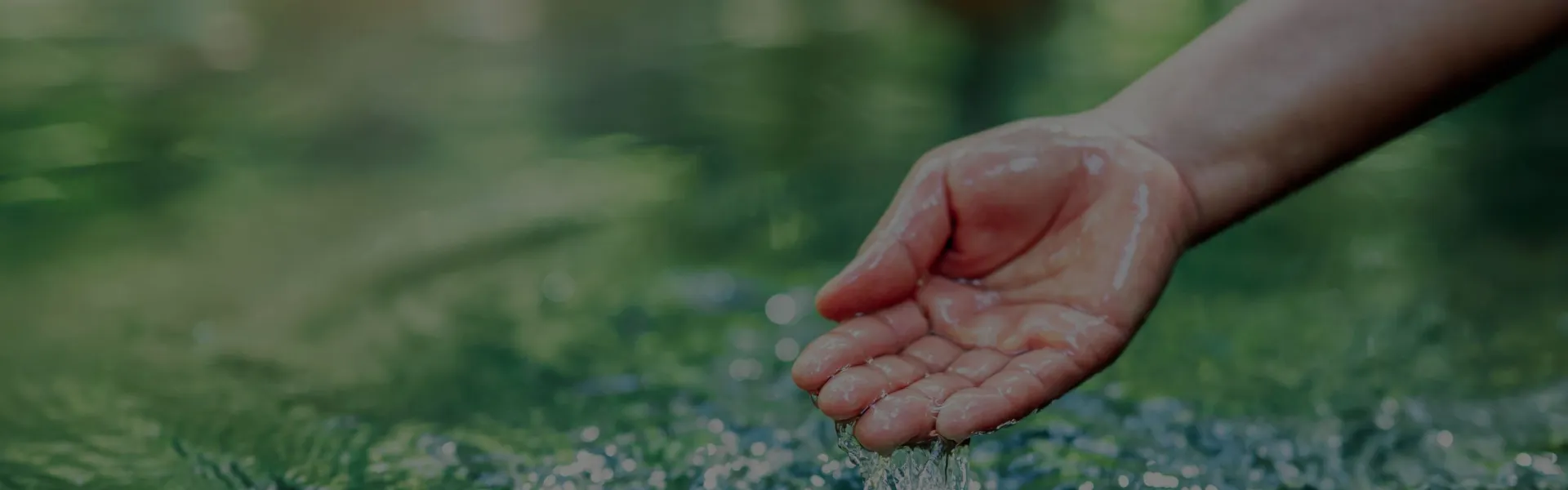 What We Do: Water