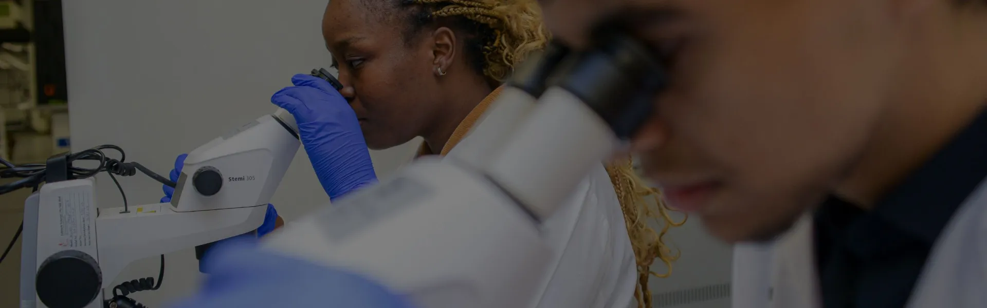What We Do: Research