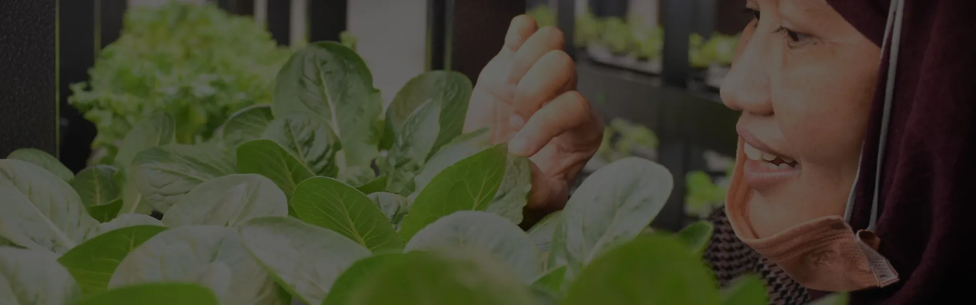 What We Do: Living Lab