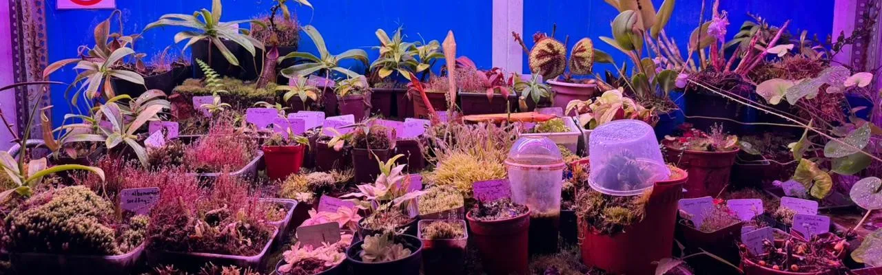 sdg 15 biodiversity