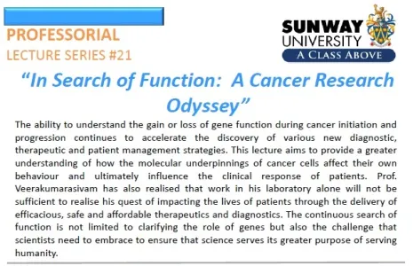 In Search of Function:  A Cancer Research Odyssey
