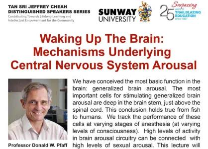 Waking Up The Brain: Mechanisms Underlying Central Nervous System Arousal