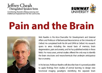 Pain and the Brain