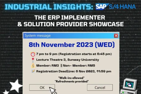 ERP Implementer And Solution Provider Showcase