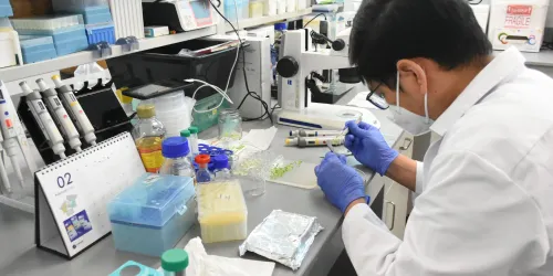 Man doing lab research