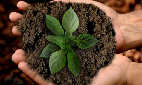 Planetary Health