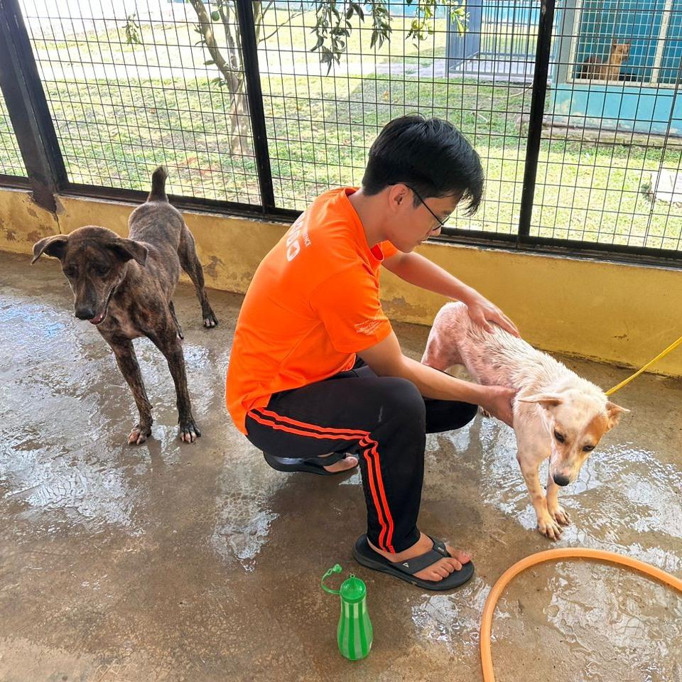 A Tail-Wagging Day at KL Pooch Resort &amp; Rescue