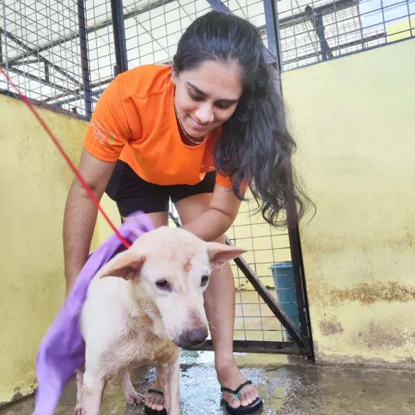 A Tail-Wagging Day at KL Pooch Resort & Rescue