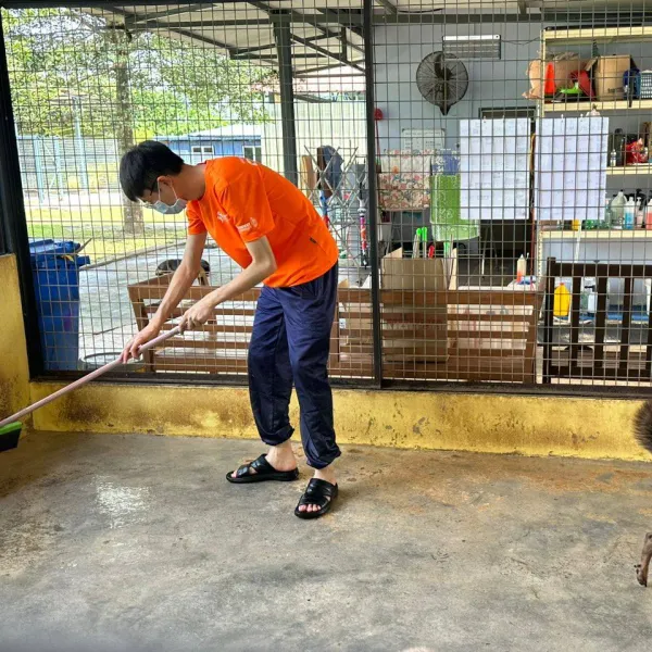 A Tail-Wagging Day at KL Pooch Resort & Rescue