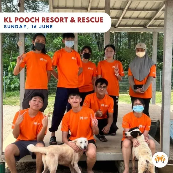 A Tail-Wagging Day at KL Pooch Resort & Rescue