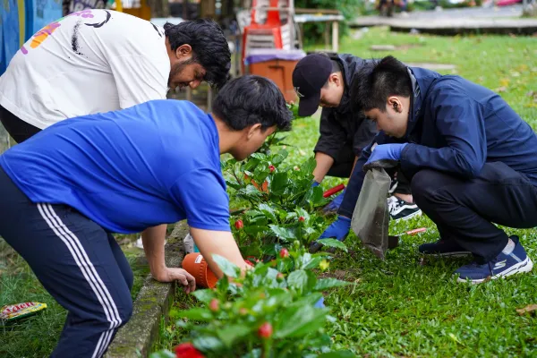 planting