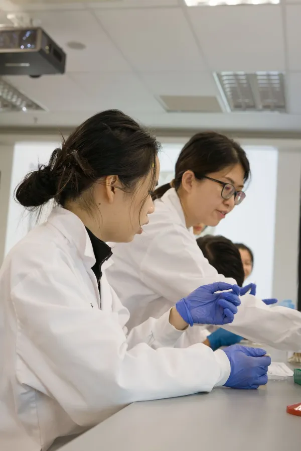 Exploring Sociocultural Insights Through International Collaboration: Otsuma Women's University's Enriching Exchange at Sunway University