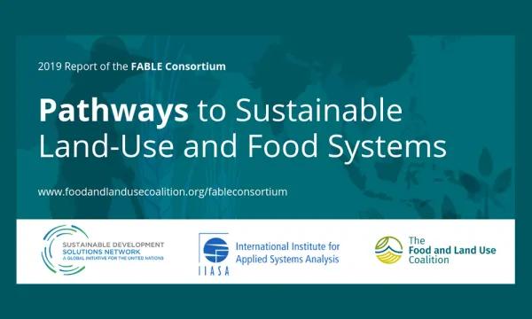 2019 Report of the FABLE Consortium