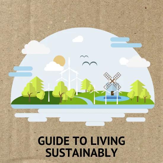 Guide to living sustainably