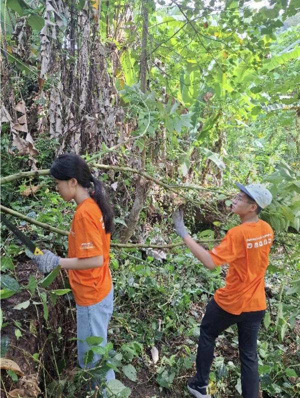 Prune And Prep At Bukit Kiara