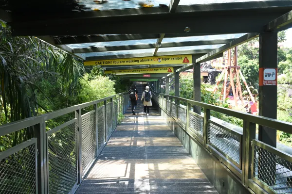 Canopy Walk