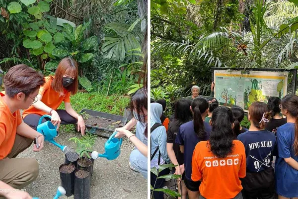 SSV and Free Tree Society at the Taman Tugu Nursery
