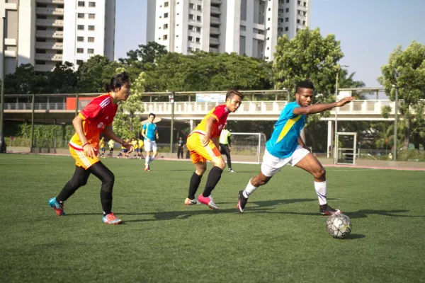 FIFA Certified Field