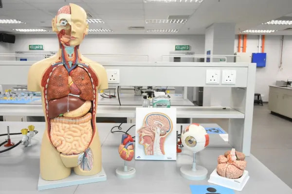 Faculty of Medical and Life Sciences