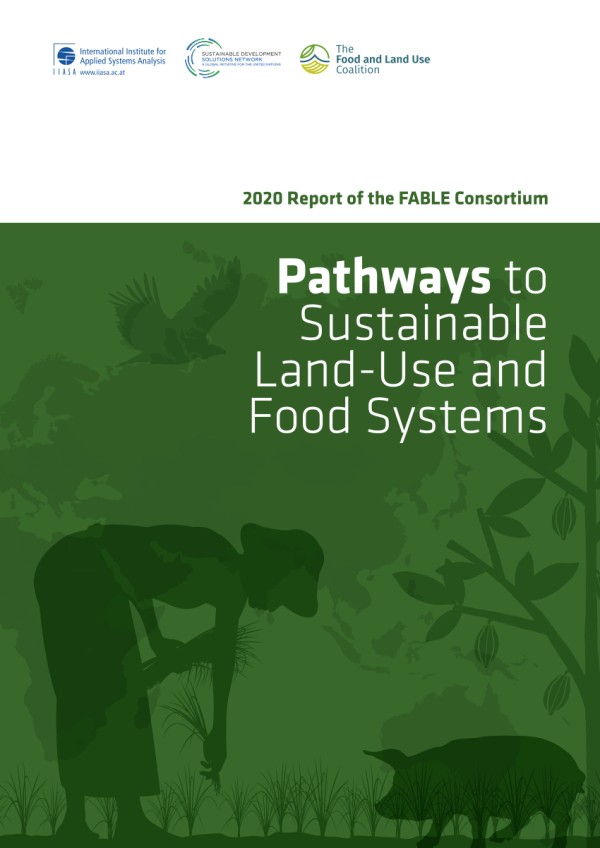 2020 Report of the FABLE Consortium