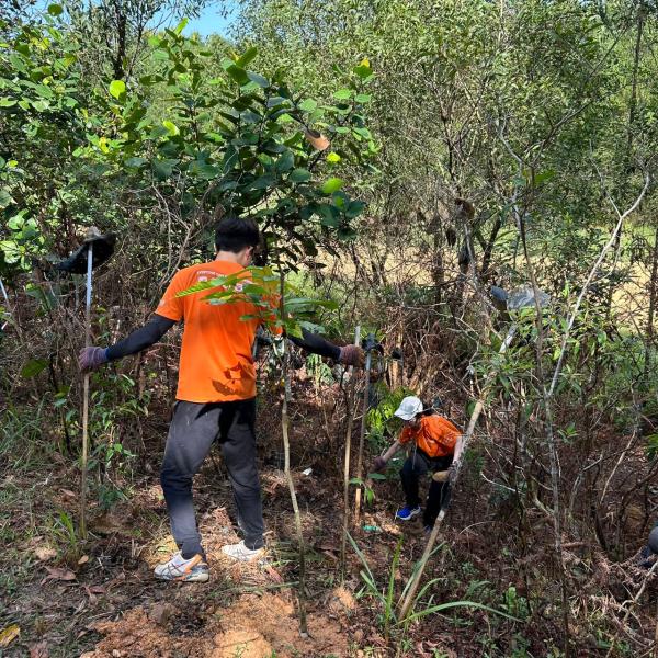 Elmina Urban Biodiversity Corridor (EUBC) Restoration