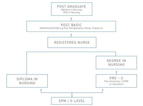 education pathway nursing