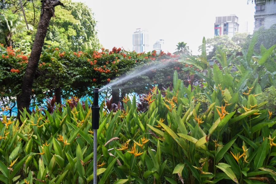 water sprinkler