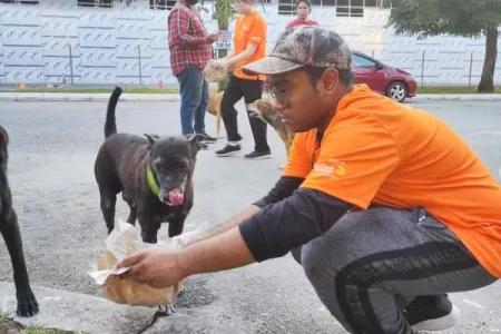 Spreading Love and Joy with The Zero Stray Project