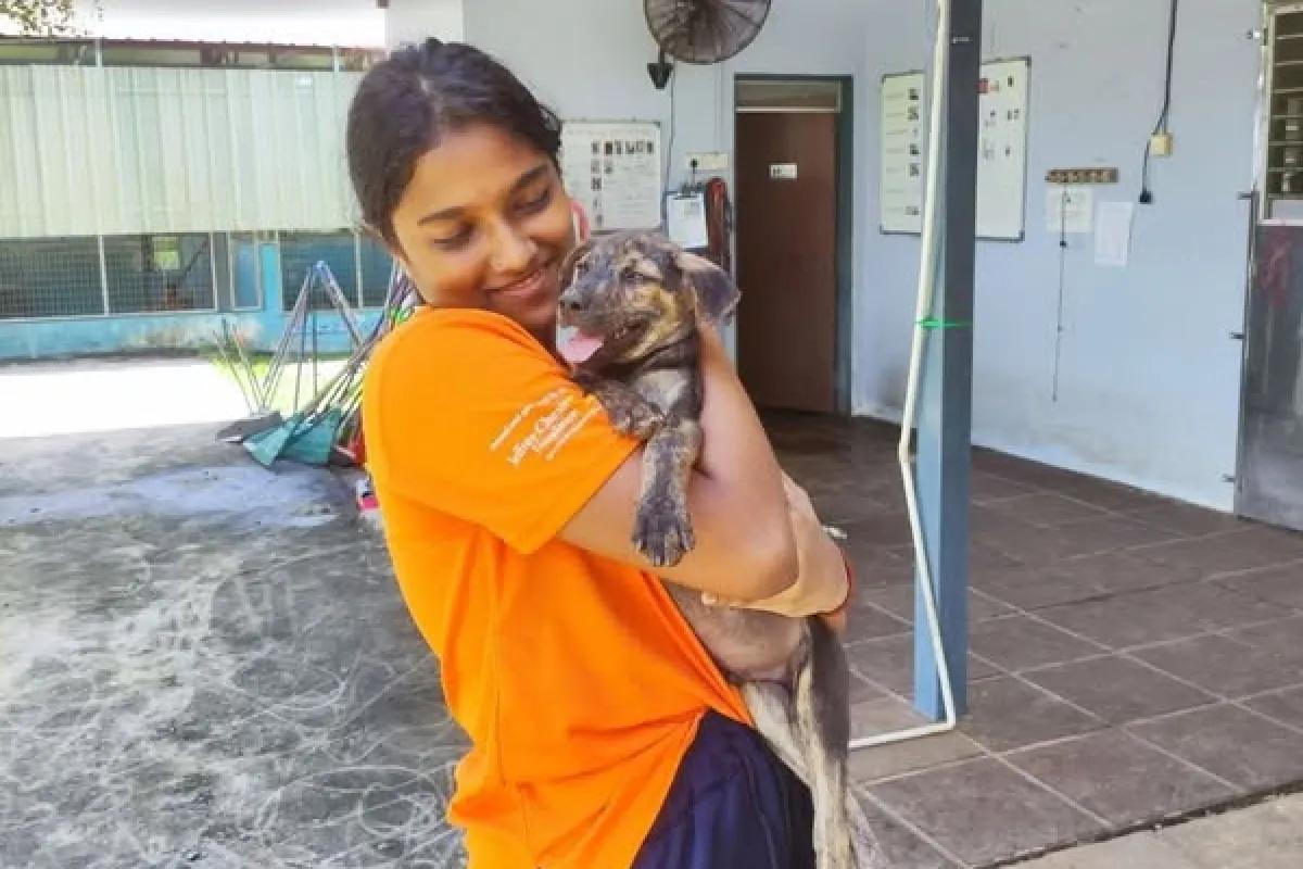  A Tail-Wagging Day at KL Pooch Resort & Rescue