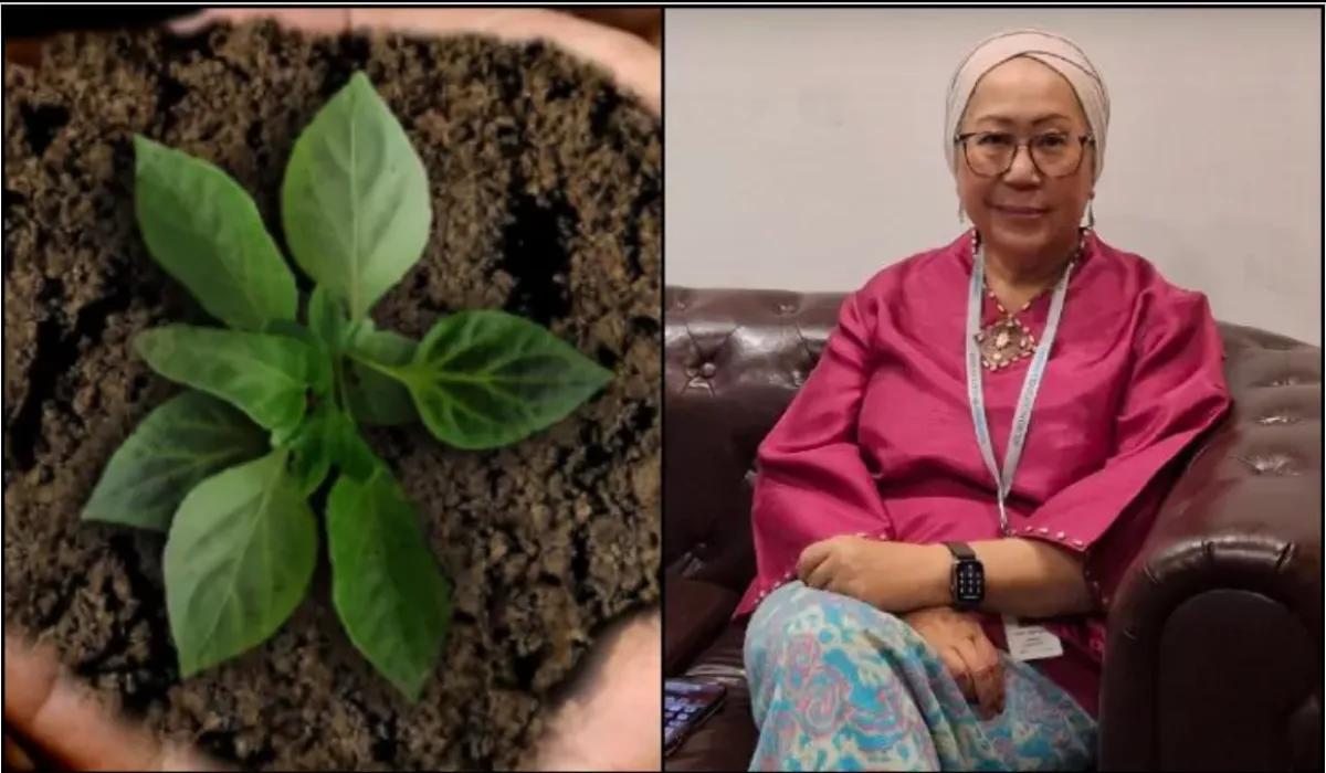 Tan Sri Dr Jemilah