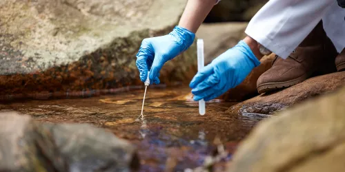 Introduction to Environmental Studies