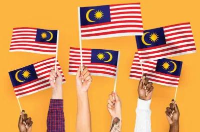 The Economic Voting Puzzle of Malaysia