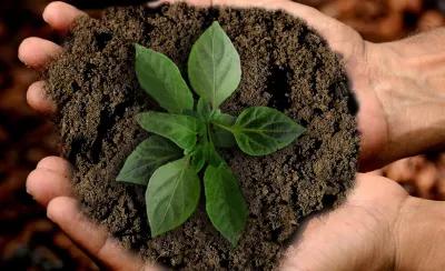 Cross-cutting Principles for Planetary Health Education