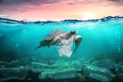 Saving the Planet From CO2 and Plastic Pollution