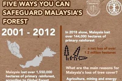 Five Ways You Can Safeguard Malaysia’s Forests