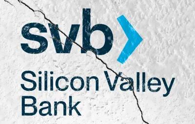 The Silicon Valley Bank Failure and The Financial Landscape