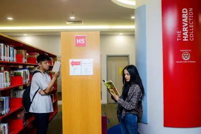 Public Access to Libraries