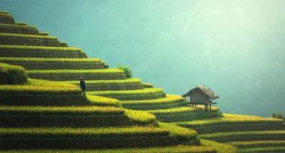 green manufacture