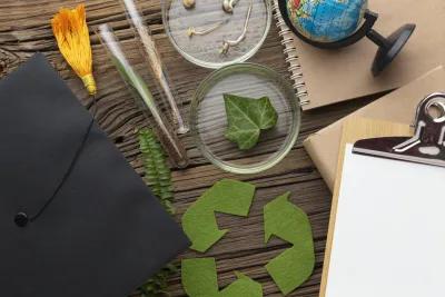 environmental law illustration