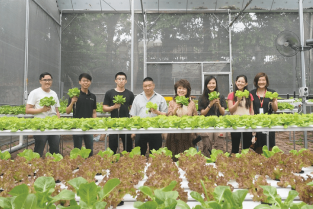 From Farm to Table: Sunway’s FutureX Farm’s First Harvest + FAQ